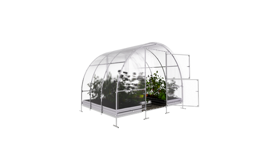 01 Klasika Easy 2 m be fono.png