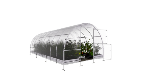 01 Klasika Easy 6 m be fono.png