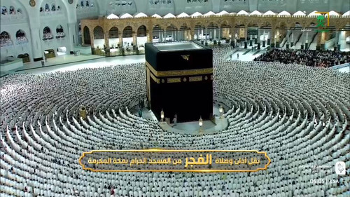 aCtsSvrIKO DxXGf.jpg