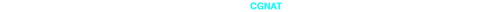 TRAFEGO CGNAT.png