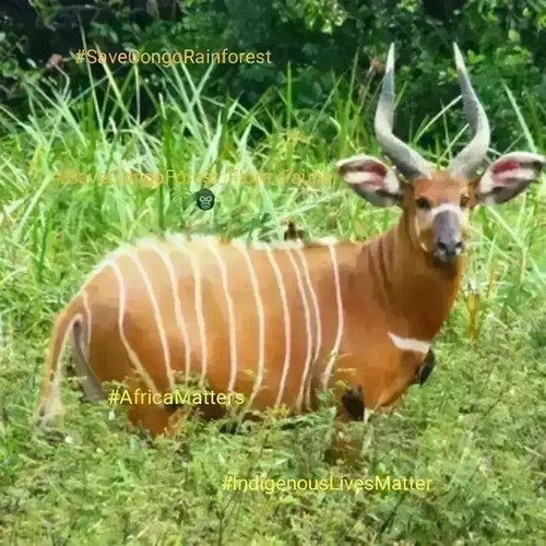 Gn894p3XAAAyc02.jpg