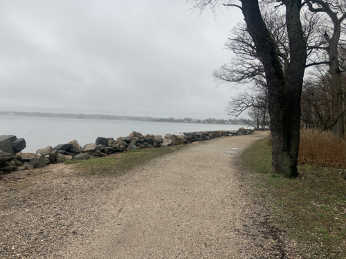 IMG 4393.jpg