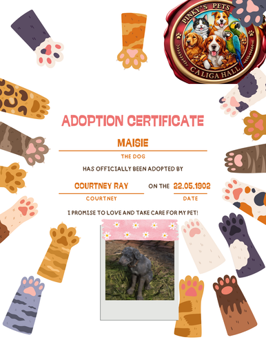 Colorful Cute Kid Cat Adoption Certificate.png