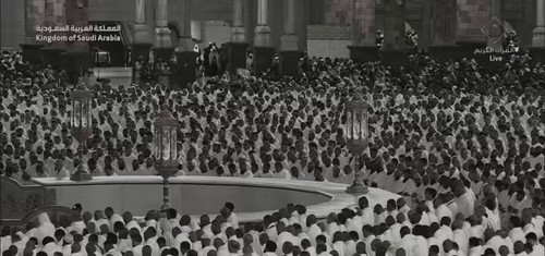 9DEcuWn3N25bpW 5.jpg