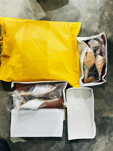 WhatsApp Image 2025 05 22 at 5.54.45 AM (1).jpg