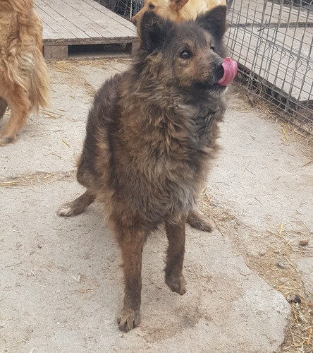 GraBcTUXEAAUp3o.jpg