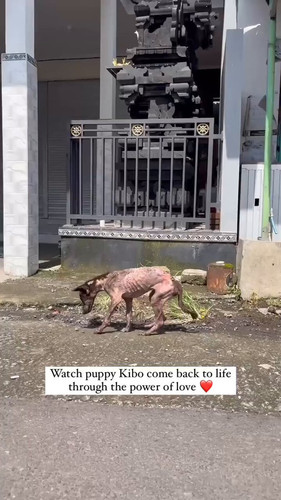 Yf3bXiVjOAK1BvUp.jpg