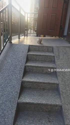 QtldTFg0b f3yUDH.jpg