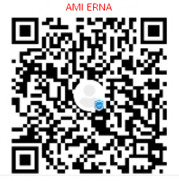 AMI ERNA.png