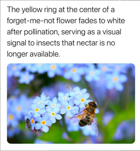 Screenshot 2025 05 22 at 2.25.54 PM.png