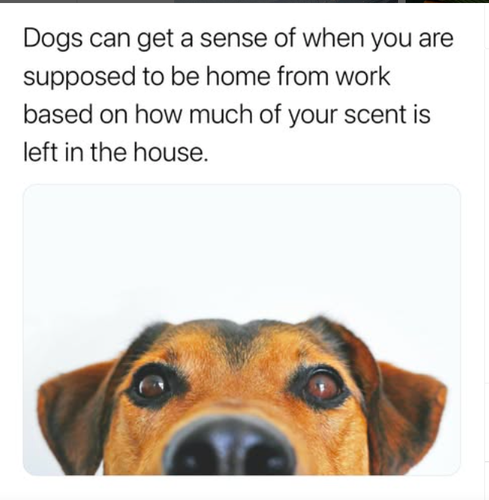 Screenshot 2025 05 22 at 2.25.42 PM.png