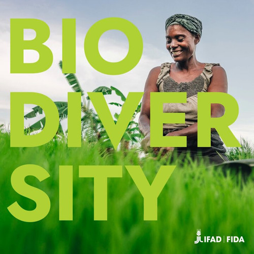 o5GY6P EaKw9u7Yq.jpg