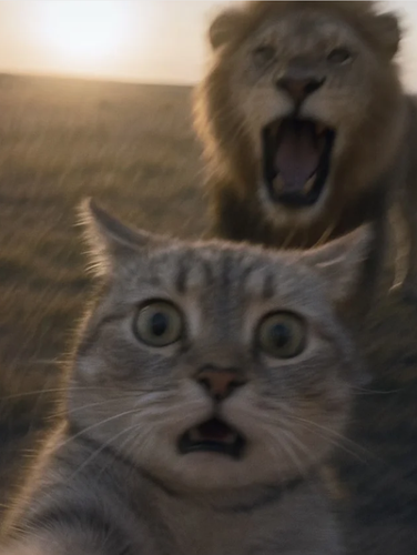 1000255017.png