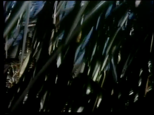vlcsnap 2025 05 22 13h20m40s966.png