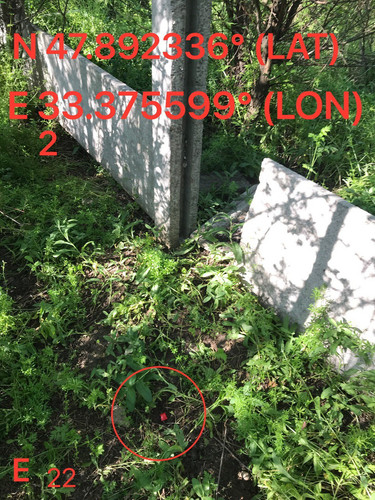 5292002636637270072.jpg