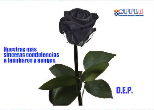 SPPLB DEP.jpg