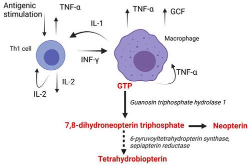 GrSC9CmXkAAPKbl.jpg