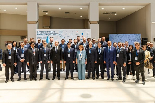 499824575 1102352941925556 8410670158729980827 n.jpg?stp=dst jpg p526x395 tt6& nc cat=105&ccb=1 7& n.jpg