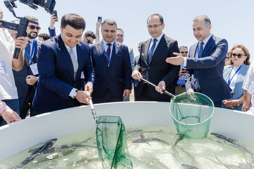 499931386 1102353125258871 5427450929015548257 n.jpg?stp=dst jpg p526x395 tt6& nc cat=103&ccb=1 7& n.jpg