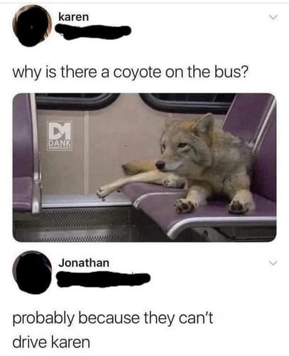 1747886087853.jpg