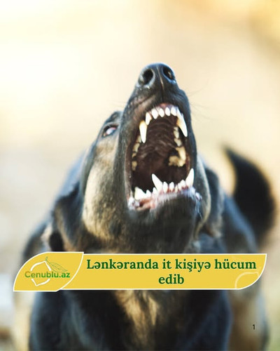 499609650 1625391581594812 5775996526482117117 n.jpg?stp=dst jpg s640x640 tt6& nc cat=109&ccb=1 7& n.jpg