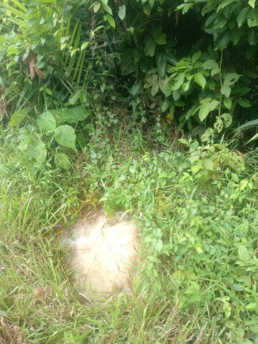 WhatsApp Image 2025 05 23 at 4.07.23 PM.jpg