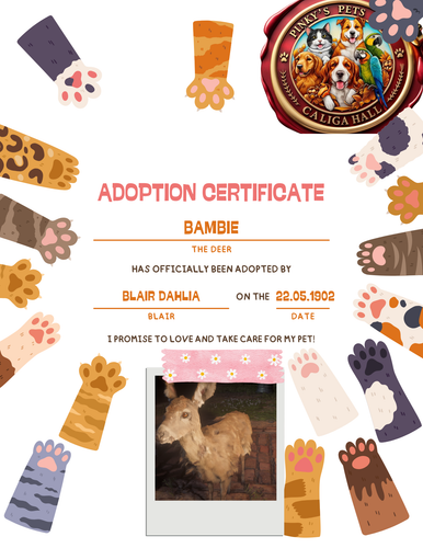 Colorful Cute Kid Cat Adoption Certificate.png
