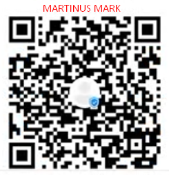MARTINUS MARK.png