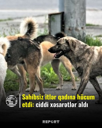 500069312 1004722345202487 9120711755844175004 n.jpg?stp=dst jpg s640x640 tt6& nc cat=108&ccb=1 7& n.jpg