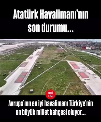 kOX6952yOGtXGX61.jpg