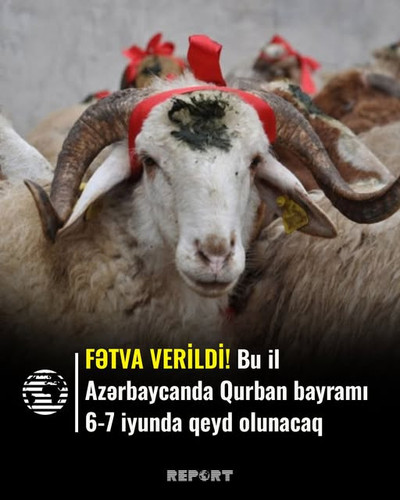 494263496 1004422265232495 7438888187399355388 n.jpg?stp=dst jpg s640x640 tt6& nc cat=111&ccb=1 7& n.jpg