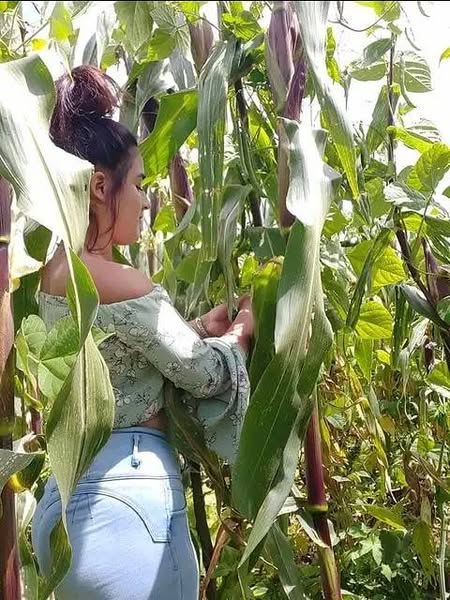 495382171 122222092748155508 3371491185623325443 n.jpg