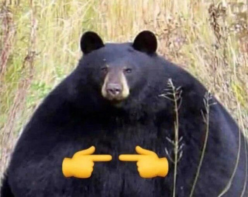 Grf1N3FXIAAJydj.jpg