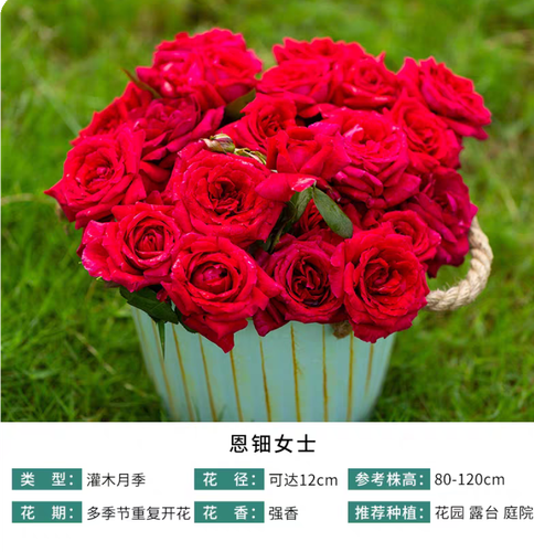 tb image share 1747911103967.jpg edit 47775317994792.png