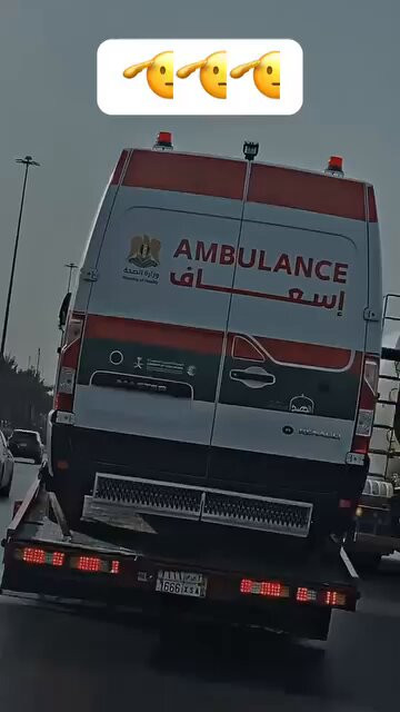 L McsQIctM MrEM.jpg