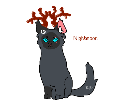 Xmas Nightmoon.png