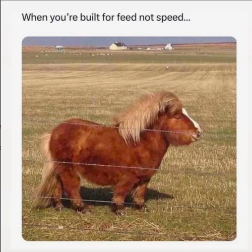 Screenshot 2025 05 23 at 12.10.01 PM.png