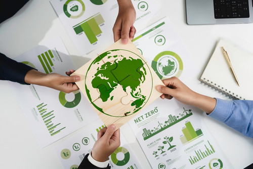 How to Implement Sustainability in Your Business on a Budget