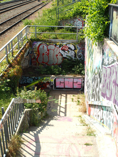 P1010428.jpg