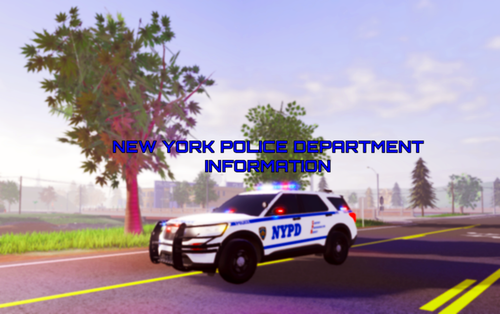 Screen Shot 2025 05 22 at 7.46.50 PM 2.png