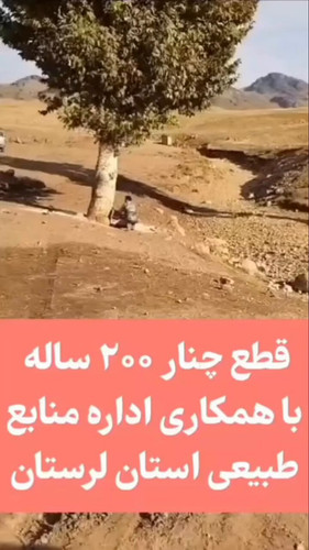 95RaV mLUO5IpuGO.jpg