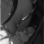f4.gif