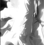 f2.gif