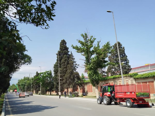 499580221 733000689078948 7335458738066548407 n.jpg?stp=dst jpg s600x600 tt6& nc cat=108&ccb=1 7& nc.jpg