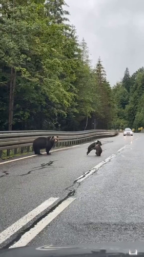 xRhDMW F99hfkpPS.jpg