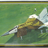 Hasegawa 130 Mig25sld
