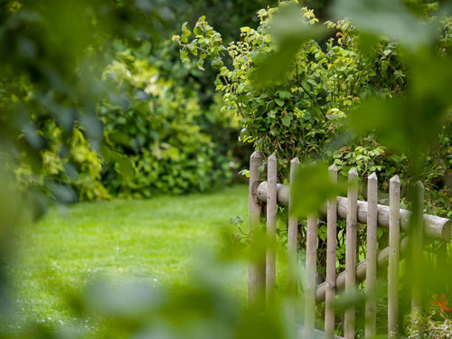 Marion Lawn and Garden- Marion Landscape Construction.jpg