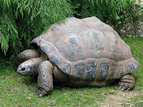 Immagine WhatsApp 2025 05 17 ore 16.10.12 b52aa8d4.jpg