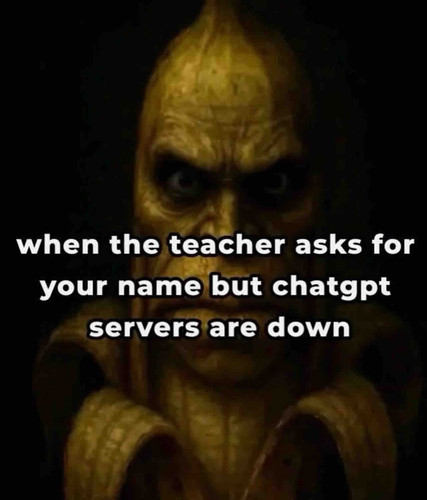 78DC3D70 09B1 454F B22E FB6392B135C1.jpg