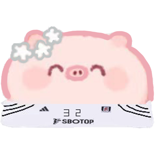 至尊抠图版透明猪.png